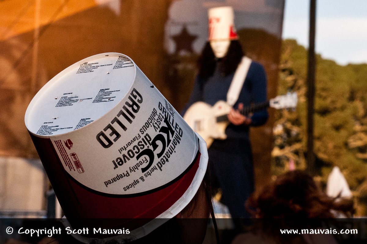 Hardly Strictly Bluegrass 2011 Patron