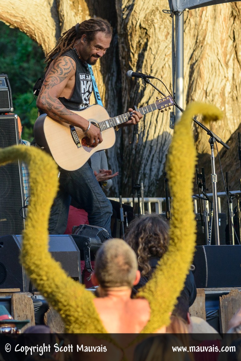 Hardly Strictly Bluegrass 2015 Patron