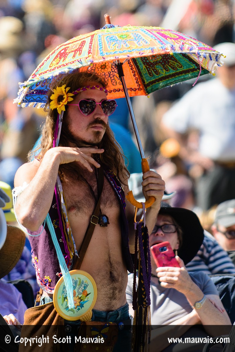 Hardly Strictly Bluegrass 2015 Patron