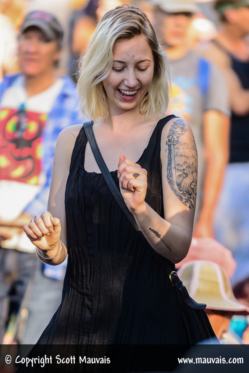 Hardly Strictly Bluegrass 2017 Patron