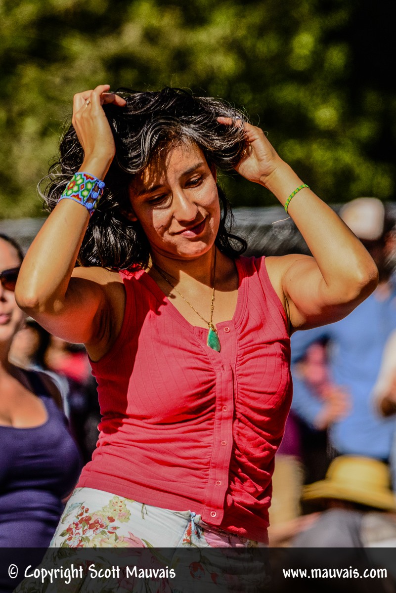 Hardly Strictly Bluegrass 2017 Patron