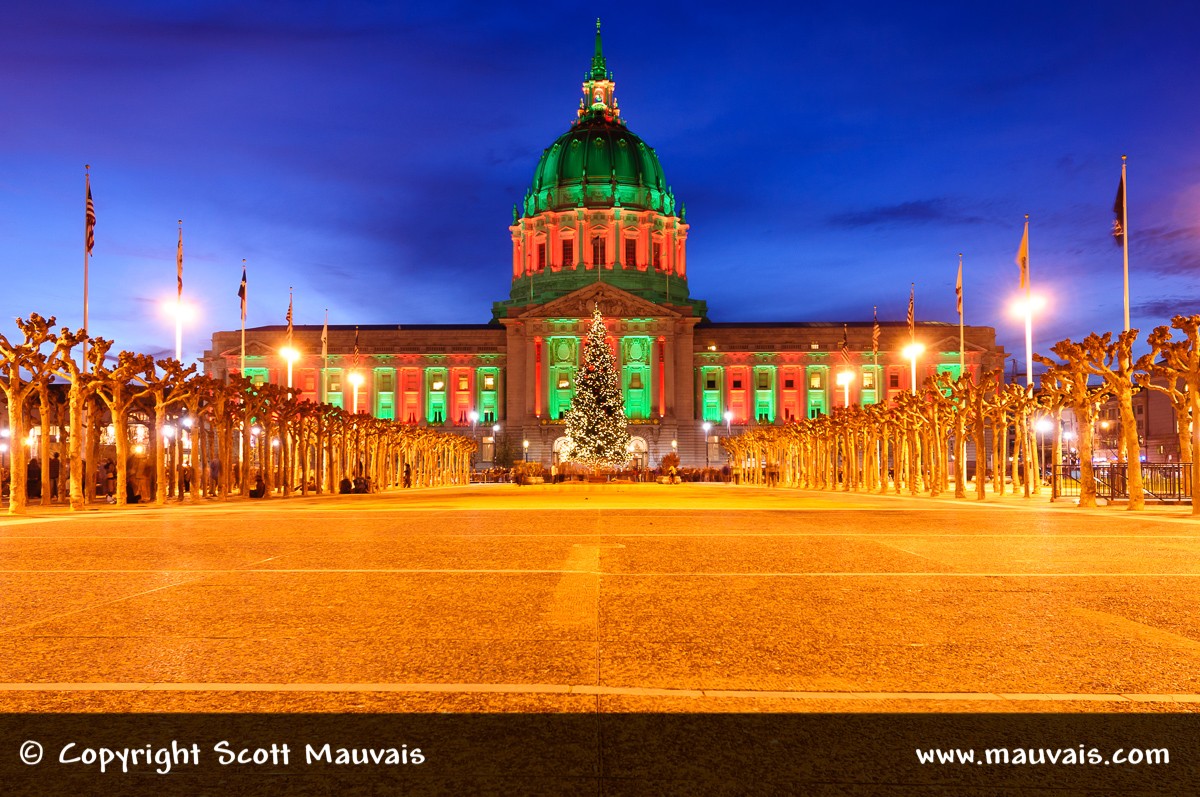 San Francisco City Hall at Night